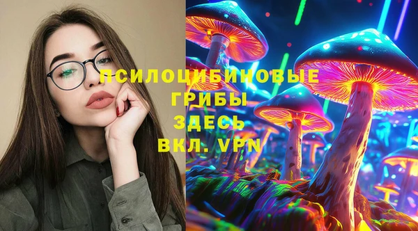 соль ск Зеленокумск