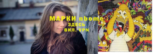 сатива Инта