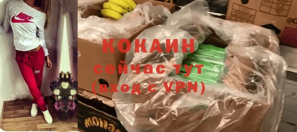 спайс Инсар